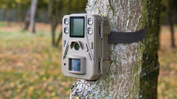 Fototrappola: cos’è e come funziona