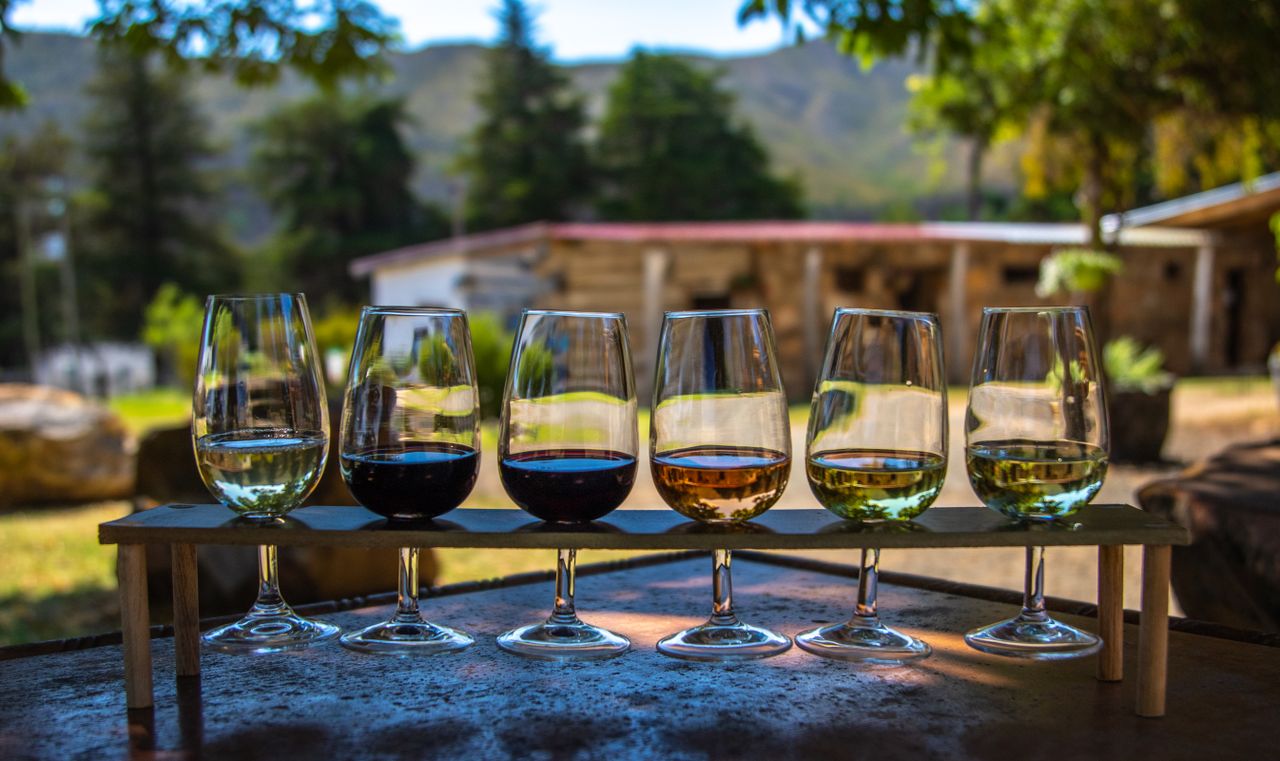 Enoturismo: perché visitare una cantina cambia il modo di guardare un bicchiere di vino