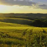 Mare e colline in Toscana: i migliori percorsi