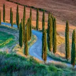 I migliori parchi naturali da visitare in Toscana
